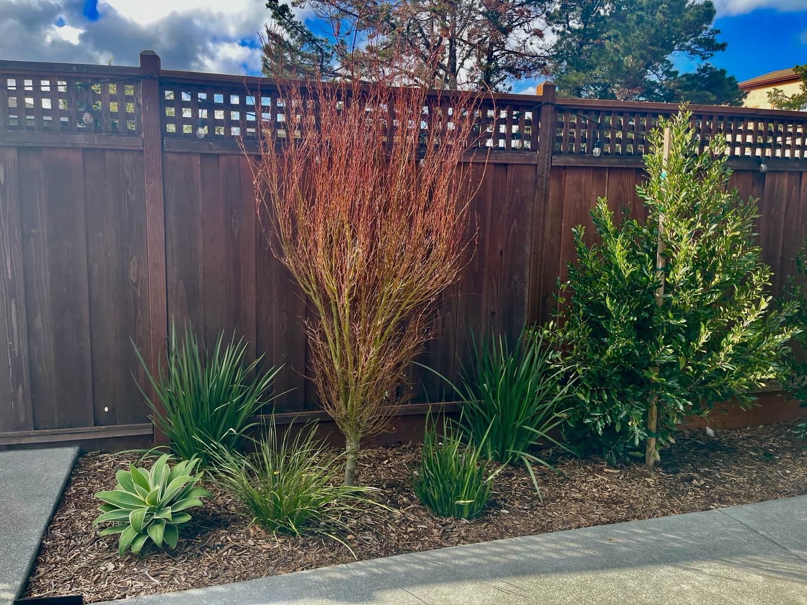 Landscaping Planting