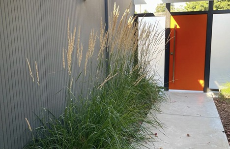 Planting Design and Landscape Construction Sunnyvale
